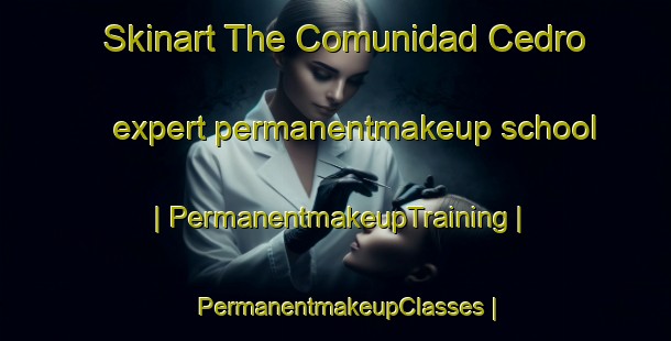 Skinart The Comunidad Cedro expert permanentmakeup school | PermanentmakeupTraining | PermanentmakeupClasses | SkinartTraining-Bolivia